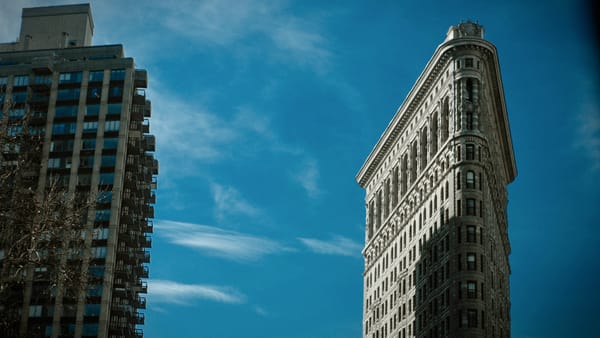 In Manhattan, a Makeshift Forest Is Haunted by the Ghosts of Imperialism