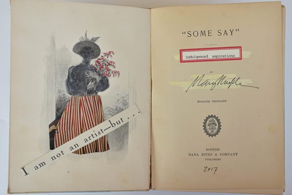 The Lyrical and Funny Art of Erasing Words From Books