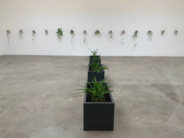 What Does It Mean to Exhibit Nature?