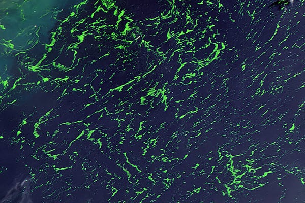 Center for Arts, Design, and Social Research Presents Ancestral Cosmovisions/Territories of Action