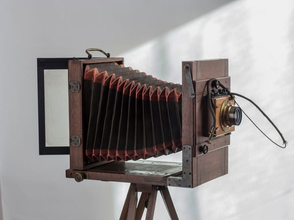 Brian Wallis: An Endorsement of an Amicus Brief for Lanier v. Harvard