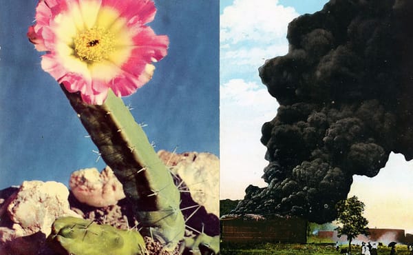 The Guggenheim and The World Around Present an Online Program Focused on Land