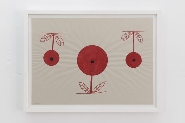 Drawing the Intricate Environment of an Indigenous Venezuelan Community