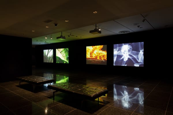 In Neelon Crawford’s “Moving Paintings,” the Natural and Manmade Face Off