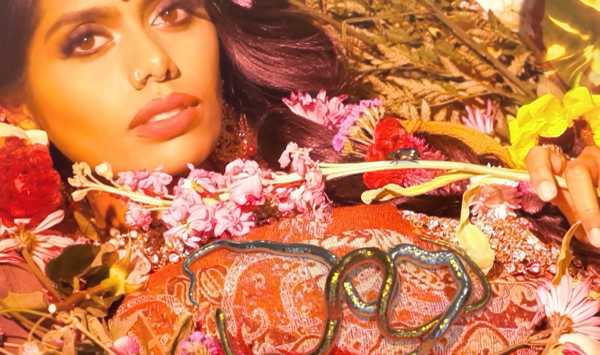 Tamil-Canadian Artist Shan Vincent de Paul’s NFT Collection Has a Twist