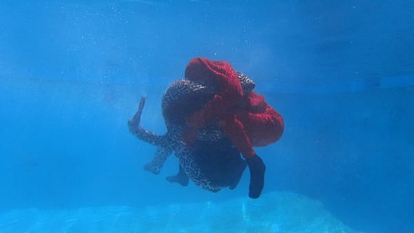 Your Concise New York Art Guide for January 2022