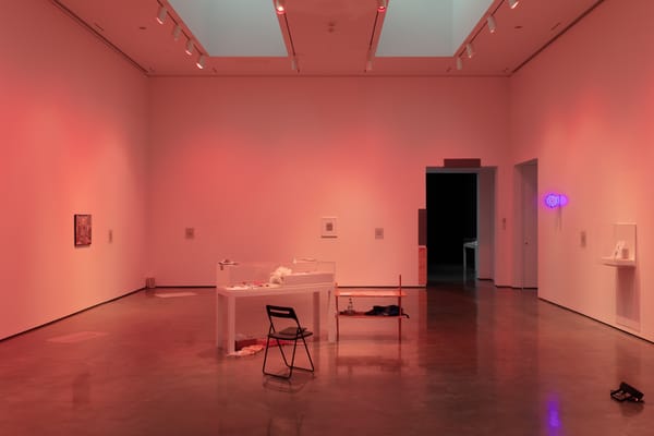 CCS Bard’s Graduate Program in Curatorial Studies Offers Expansive Resources and a Transformative Education