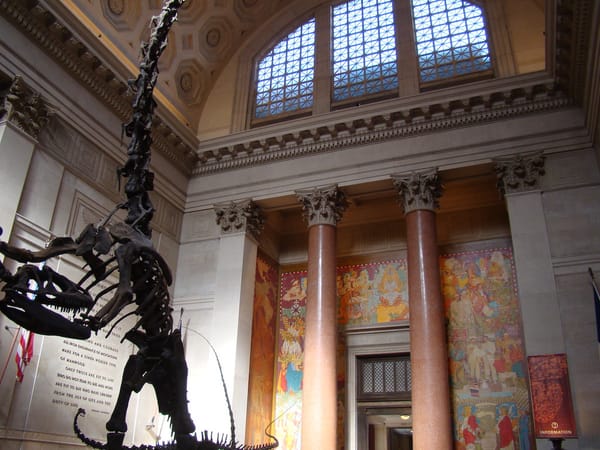 Nearly 200 American Museum of Natural History Workers Move To Unionize