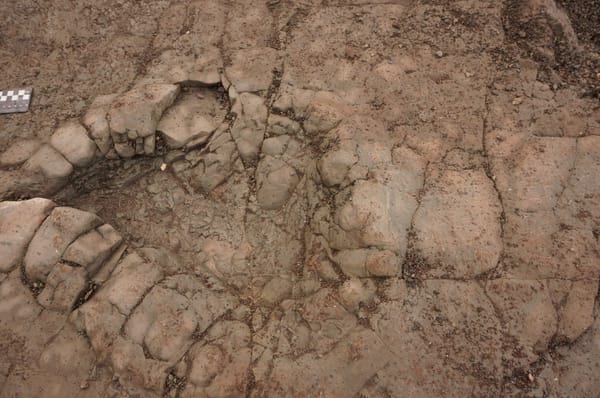 200-million-year-old Dinosaur Footprints Found on UK Beach