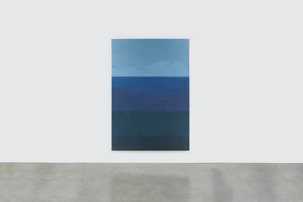 Byron Kim Plumbs the Depths of Nature and the Imagination