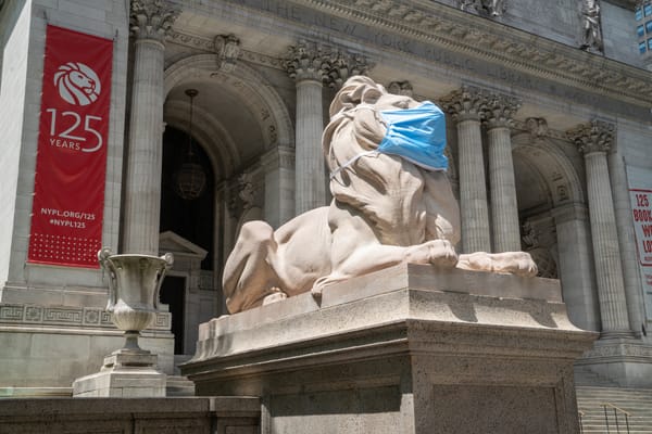 New Yorkers Can Pick Up Free At-Home Covid Tests at Select Museums and Libraries