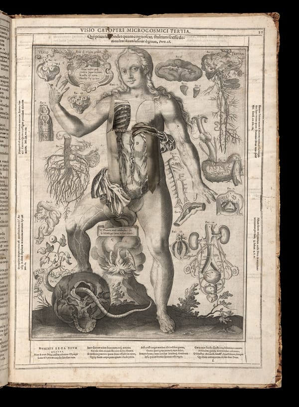 How Artists Have Explored and Understood the Human Body Through Time