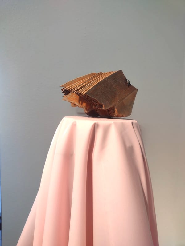 Artist Paula Castillo Returns to Her Rural Roots