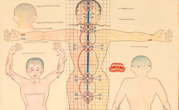 The Rubin Museum Presents Healing Practices: Stories from Himalayan Americans