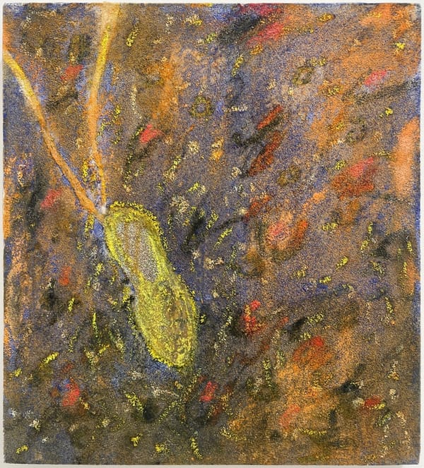 Cosmos and Earth Collide in Pier Paolo Calzolari's Alchemical Art