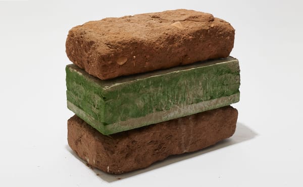 Land Art’s History Meets Its Present in Bigger Than This Room at form & concept