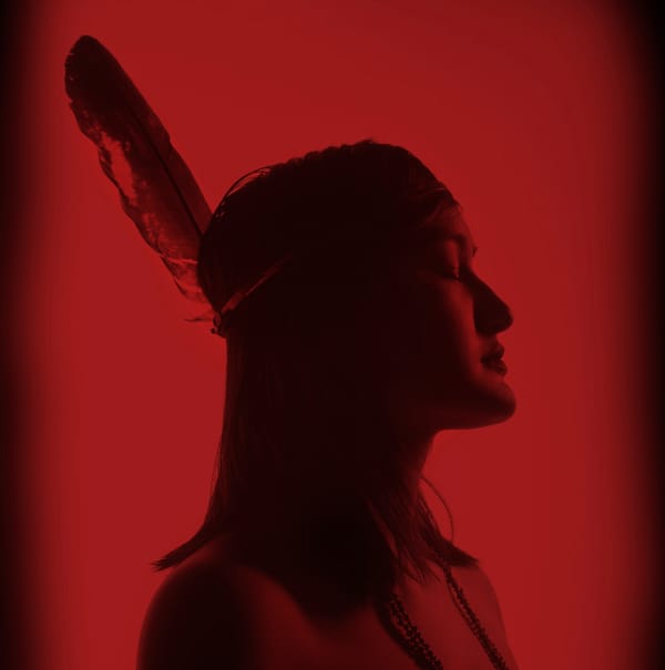 Powerful Visions of Reclaimed Narratives by Indigenous Artists