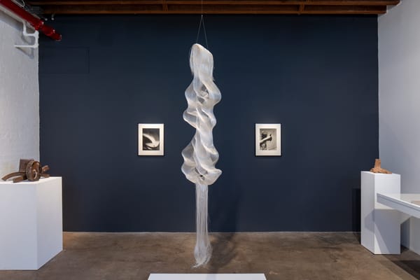 Remembering the Japanese American Incarceration Through Abstraction