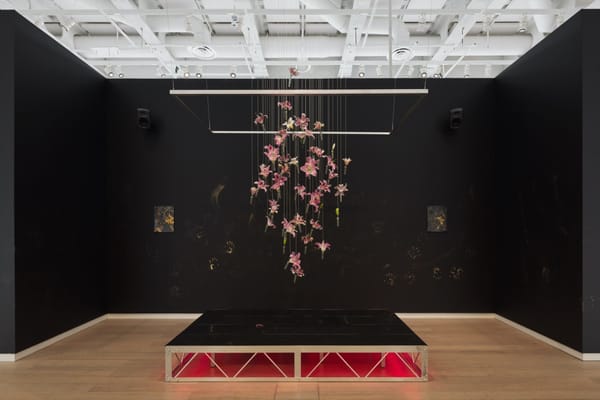 Highlights From Columbia University's MFA Thesis Exhibition