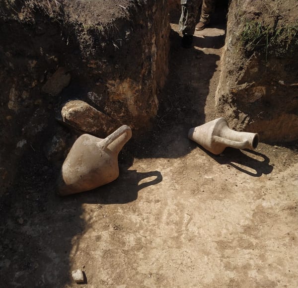 Ukrainian Soldiers Unearth Ancient Greek Amphorae During Trench Dig