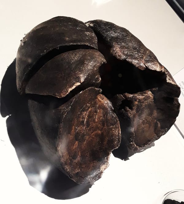 Conservatives Respond More to "Disgusting" Health Warnings, Yale Study Says