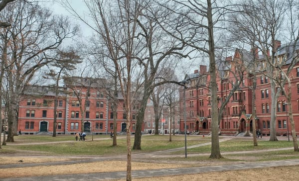 Harvard Holds Remains of 7,000 Native Americans and 19 Possible Enslaved People, Leaked Draft Says
