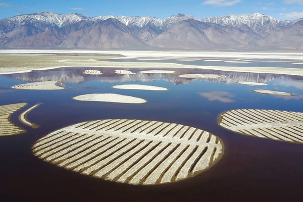 Warhol Foundation Grants $3.9 Million to 50 US Arts Organizations