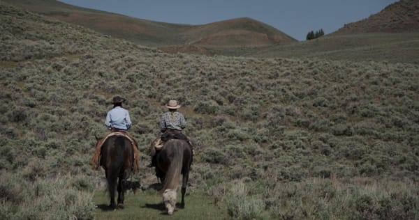 An Emotional Documentary Follows Two Cattlewomen on the Range