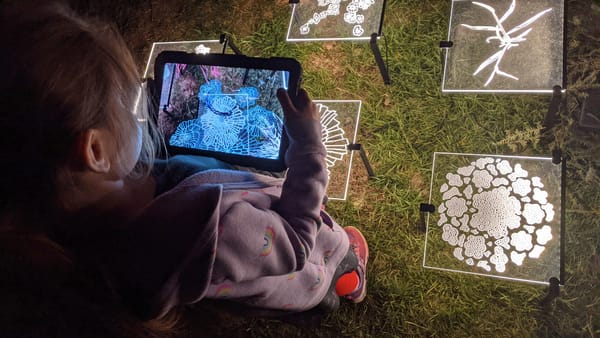 A Celebration of New Media in New Mexico