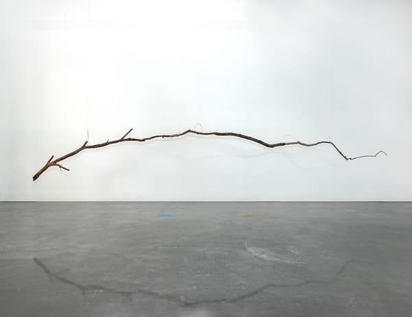 A Studio Visit With Jillian Conrad