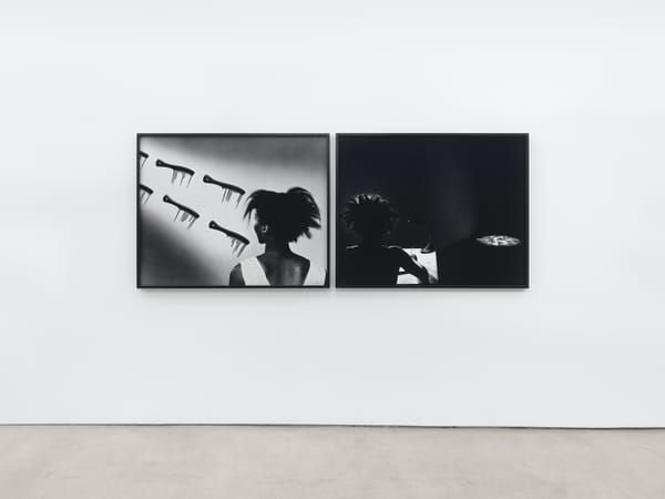 Lorraine O’Grady Still Won’t Play It Safe