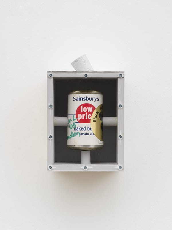 Pope.L Invites Us to “Enter The Mess” When Things Fall Apart