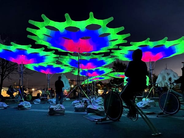 A New Mexico Arts Festival Goes Full Immersive