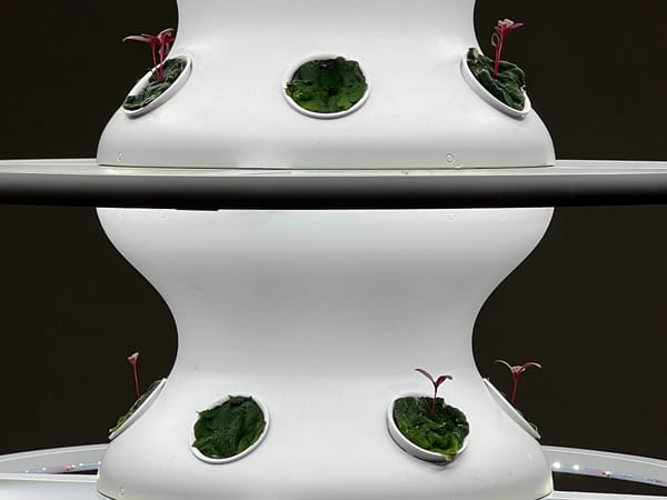 New Generation of Land Artists Embodies a Call for Action