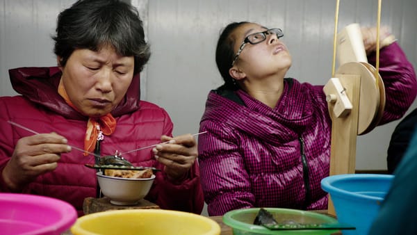 Mika Rottenberg Mines the Banality and Allure of Spectacle