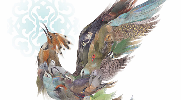 The Wisdom and Wonder of India's Leading Art Historian