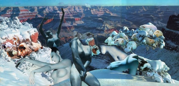 Your Concise Los Angeles Art Guide for October 2022