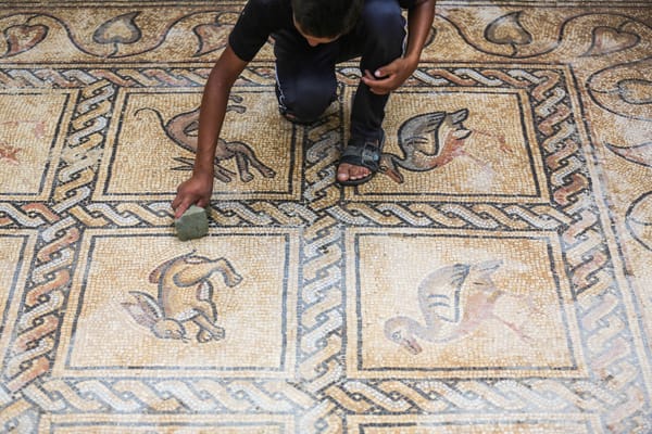 Palestinian Farmer Accidentally Unearths Intact Byzantine Mosaic