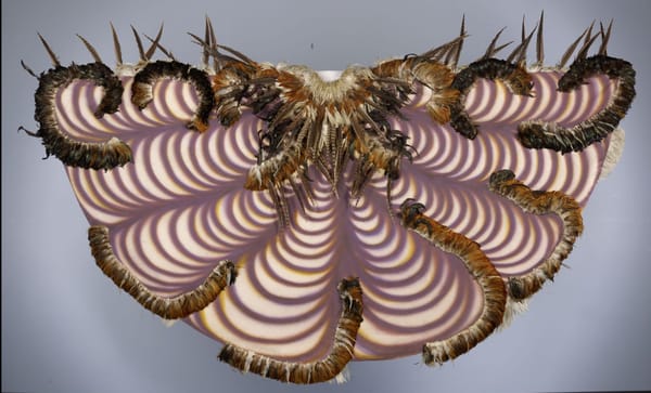 Rumors About Death of the Bay Area Art Scene Are Greatly Exaggerated