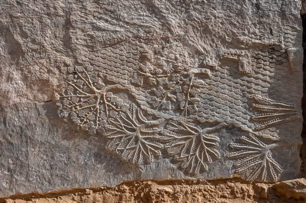 Rare 2,700-Year-Old Stone Carvings Discovered in Iraq