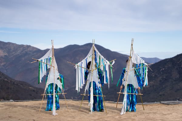 LA ESCUELA___ Launches New Programs on Ecological Rights and Activist Participation