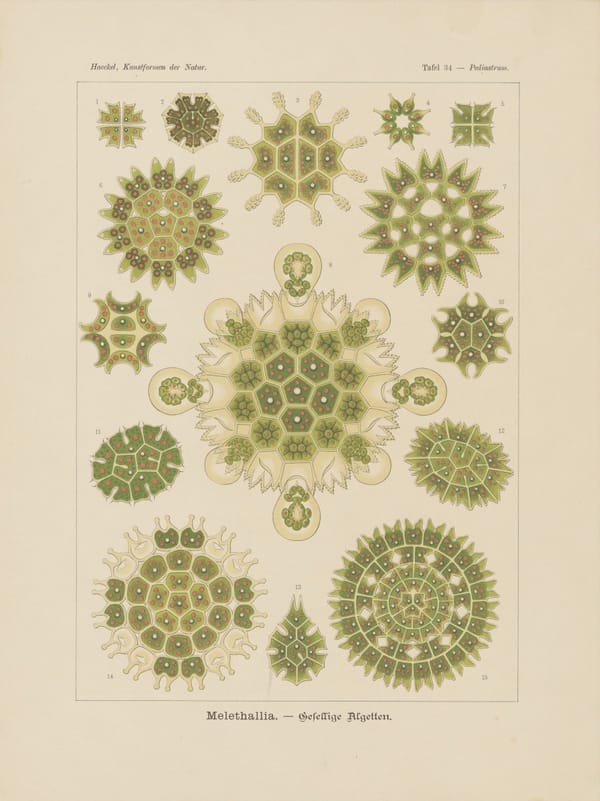 The Politics of the Air We Breathe