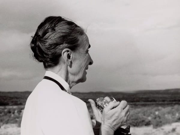 Georgia O’Keeffe, Reframed