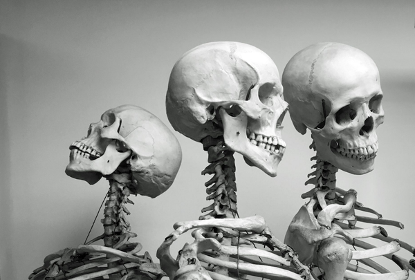 Seeing the Unseen Inside a Macabre Medical Museum