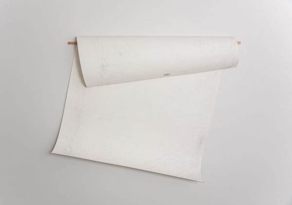 Marina Kassianidou Is Interested in the Leftovers