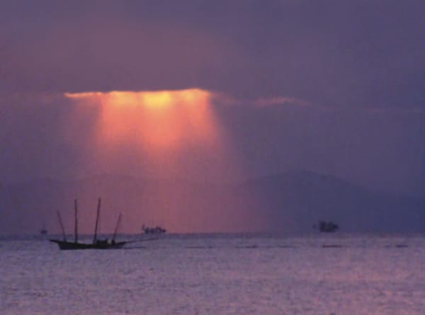 Noriaki Tsuchimoto Transformed Documentary Into an Art of Compassion