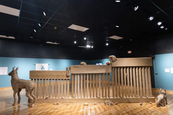 Near the Border, Artists Fight for Self-Preservation