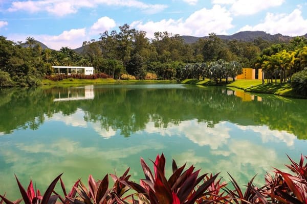 Artist Maxwell Alexandre Goes to War With Brazil's Inhotim Institute