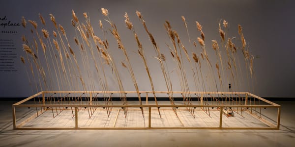 University of Michigan’s Stamps School of Art & Design Offers a Unique MFA Experience