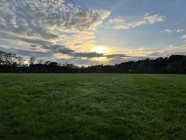 In Loving Memory of Brody Mace-Hopkins